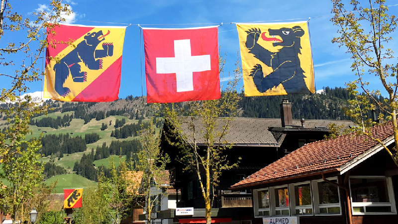 Sie Schweizer Fahne Kaufen